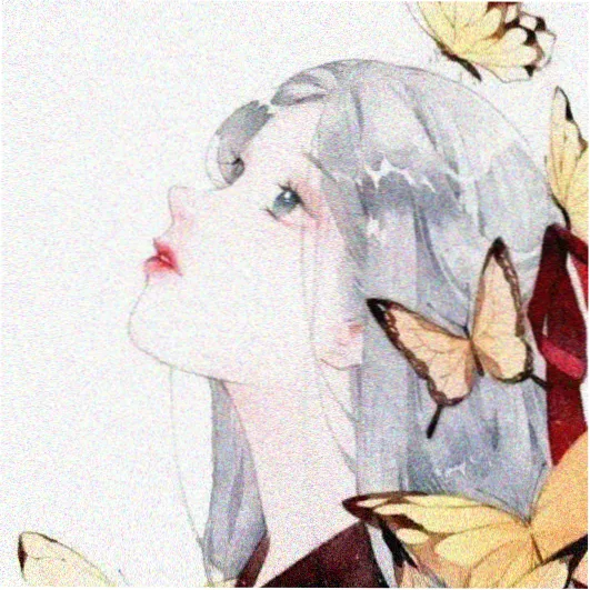 天鹅视频讲师陆知遥头像
